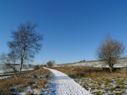 Winter Cycling