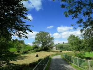 Manifold Valley