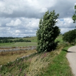 Tissington Trail Breezy