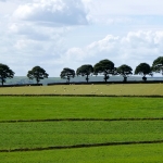 Tissington Trail Views