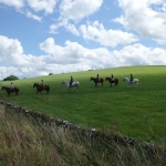 Tissington Trail Horses