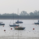 Boats, Carsington Water