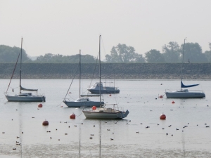 Boats, Carsington Water