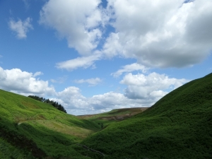 Goyt Valley