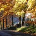 Peak District Cycling - Autumn