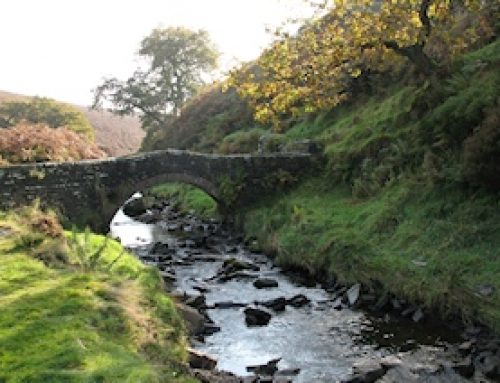 The Goyt Valley