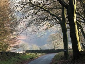 The Street - Goyt Valley