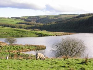 Lamaload Reservoir