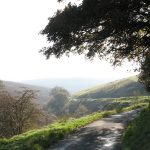 Misty Road - Goyt Valley