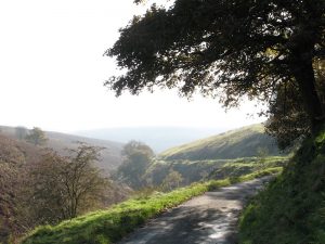 Misty Road - Goyt Valley